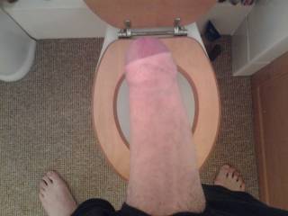 dick