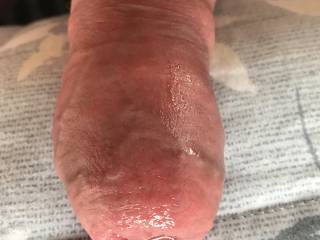 My swollen cock after long session.