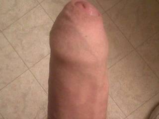 Just a quick pic of my dick