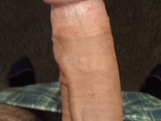 Just a little morning wood. Any ladies like to see this every morning?