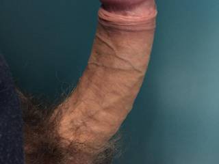 Dick from the bush