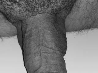 my Cock on Display