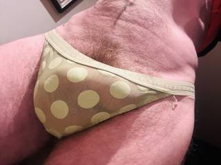 D@ughters panties