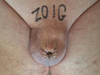 nini for ZOIG