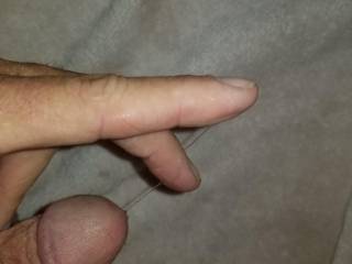 My precum this am was nice and thick ready to string out a bit and i got 2 strands, my dick was happy but was disappointing i did not do cum tribute for wellhungtongue69 yet. I want a load to build up for nice large release