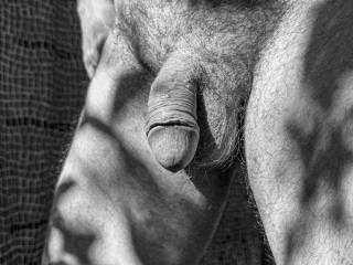 dick
