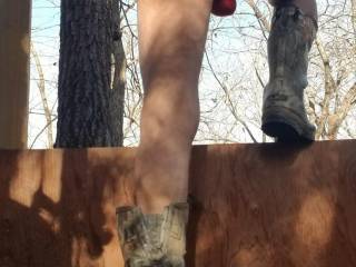 Butt out in the woods