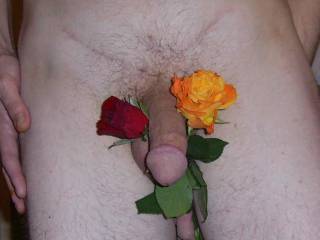 What more could a woman want - roses and a huge cock all ready and waiting...