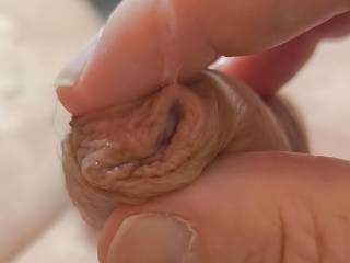 Playing with my foreskin and precum.