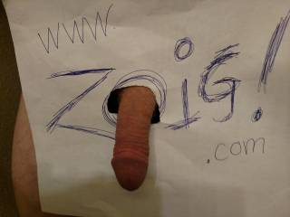 WWW. ZOIG.Com ....what is in the picture?