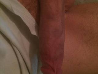Anyone want to lay across my lap?