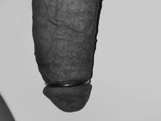 my Dick on Display