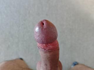 My fat dick