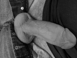 Black and white cock