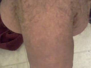 just a pic of the dick! do you like ladies?