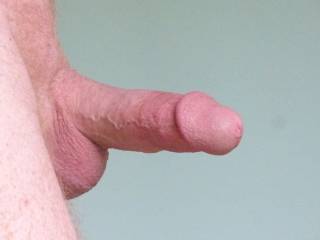 I love showing off my shaved cock to all you Zoigers.  Tell me if you like to see it.