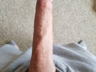 My 11 inch cock