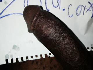 Need someone for this dick .. It has been lonely