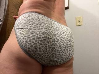 VS panties rear view