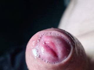 Cock
