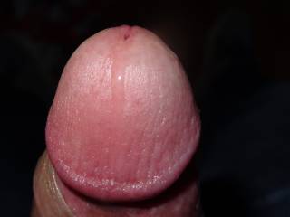 a close up of my penis hope you like it :$