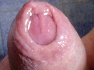 my cock