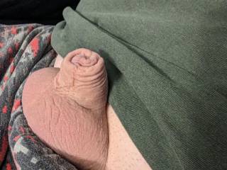 My cock in the morning