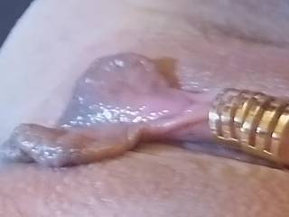 Nice pic before i sucked that clit long and hard