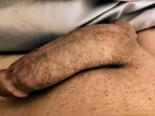 Hubby's cock in the resting position. It needs 'your' love.