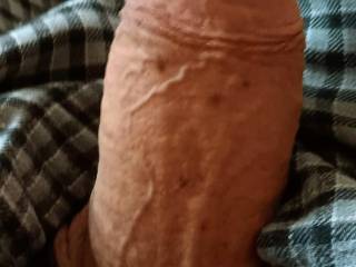 Cock all cleaned up ready fir play