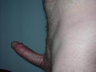 Anticipation!