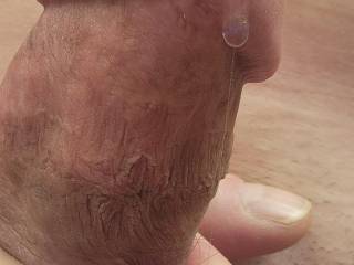 Up close and personal. Who wants a taste of me?