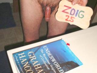A frontal as I stand in my bathroom... even after 3 toy play events, my dick is not only lubed, but, still red from the tong balm application. Another W290 camera was used.