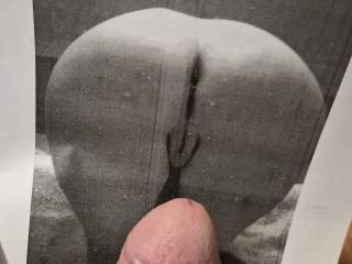 tribute to sexy bronco1150