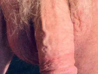 This is the first picture of my cock I\'ve ever taken. I\'ve loved to look at it since I was a boy, and loved others to look at and admire it too. I\'m 76 years old now and am more excited than ever to have you look at my cock and comment.