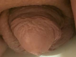 Lee showing how it looks with morning wood. Wanna make it get soft?
