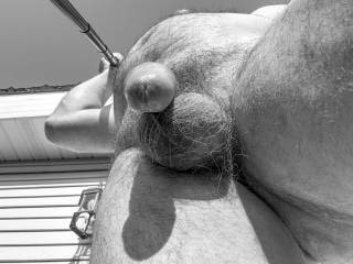 dick