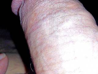 dickCloseup of the girth