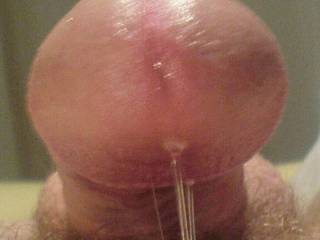 Big morning excitement