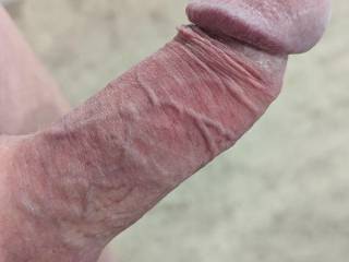 I couldn't wait to chat with friends on Zoig this day.  My cock got so hard and very swollen!