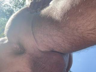 Another angle during my nature walk. Recently shaven.