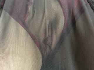 My pussy is hiding behind the mesh