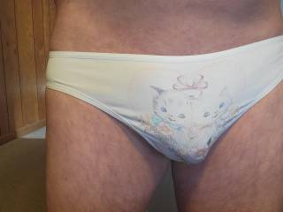 My little kitty cats