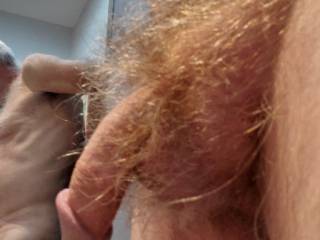 My hairy cock and balls
Leave it
Trim it
Shave it