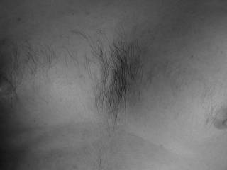 just my hairy chest (no I don't have a hairy back!)
