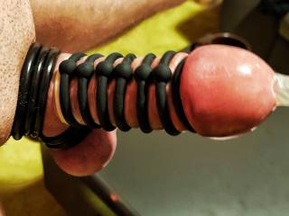 Hard Cock with rings