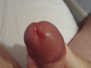 Little drop of precum for you to lick