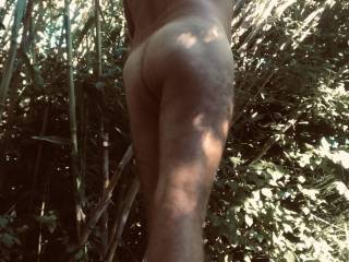 Looking for a wild girl in the jungle