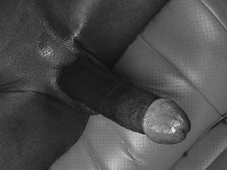 Fresh shaved hard on