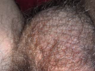 thought the public might like